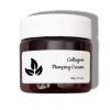 Collagen Plumping Cream (40g, 1.4oz.)